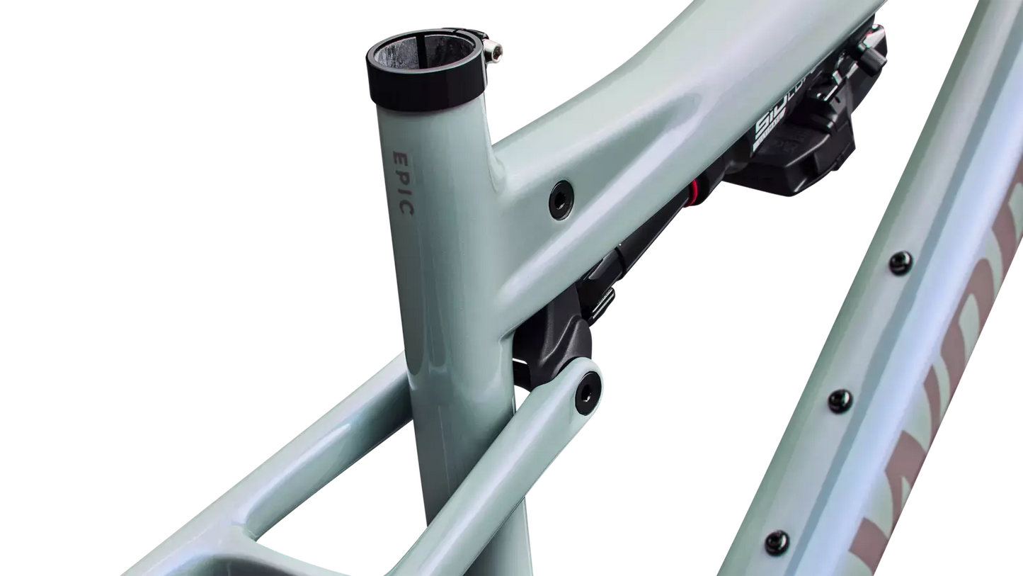 S-Works Epic 9 Frameset Lynnwood Cyclery