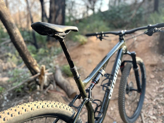 WHY YOUR DROPPER SEATPOST NEEDS REGULAR TLC