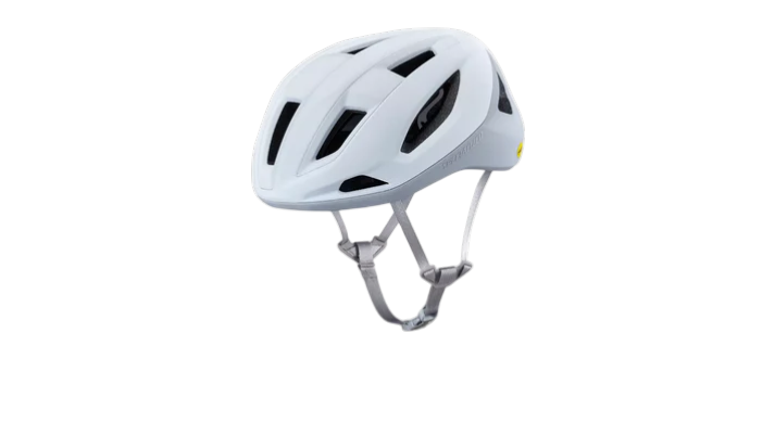 SEARCH SPECIALIZED