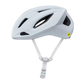SEARCH SPECIALIZED