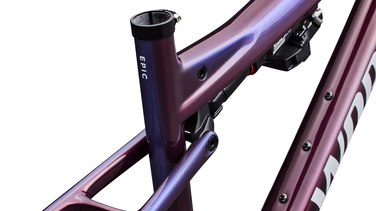 S-Works Epic 9 Frameset Lynnwood Cyclery
