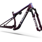 S-Works Epic 9 Frameset Lynnwood Cyclery