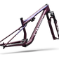 S-Works Epic 9 Frameset Lynnwood Cyclery