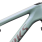 S-Works Epic 9 Frameset Lynnwood Cyclery