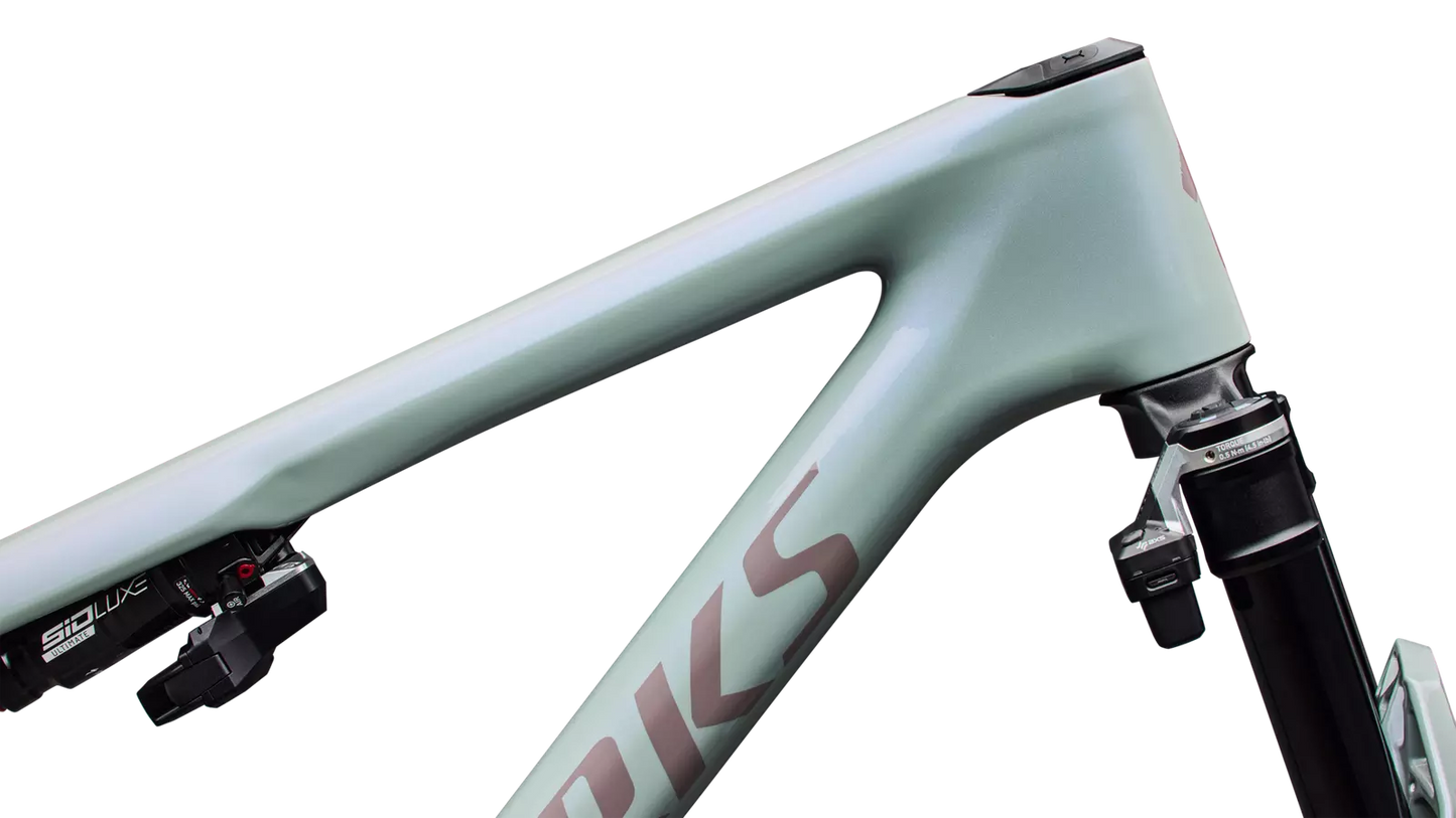 S-Works Epic 9 Frameset Lynnwood Cyclery