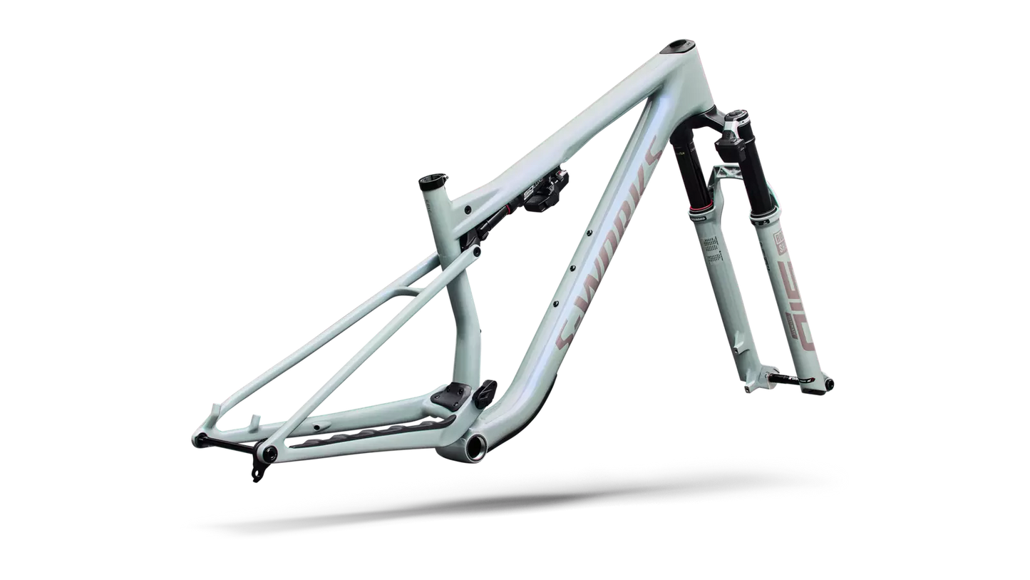 S-Works Epic 9 Frameset Lynnwood Cyclery
