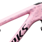 S-Works Epic 9 Frameset Lynnwood Cyclery