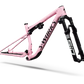 S-Works Epic 9 Frameset Lynnwood Cyclery