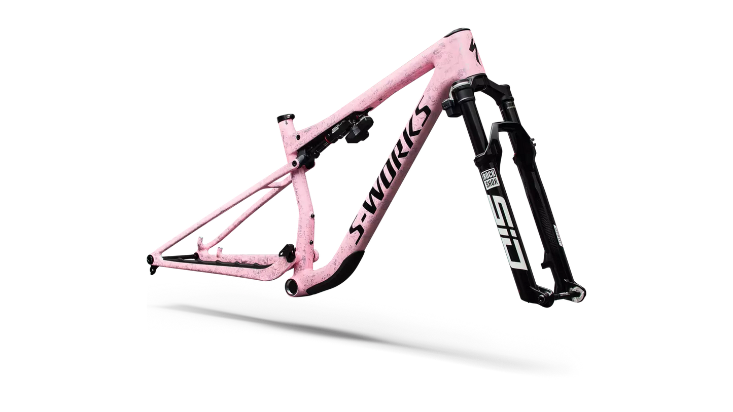 S-Works Epic 9 Frameset Lynnwood Cyclery