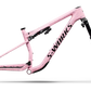 S-Works Epic 9 Frameset Lynnwood Cyclery