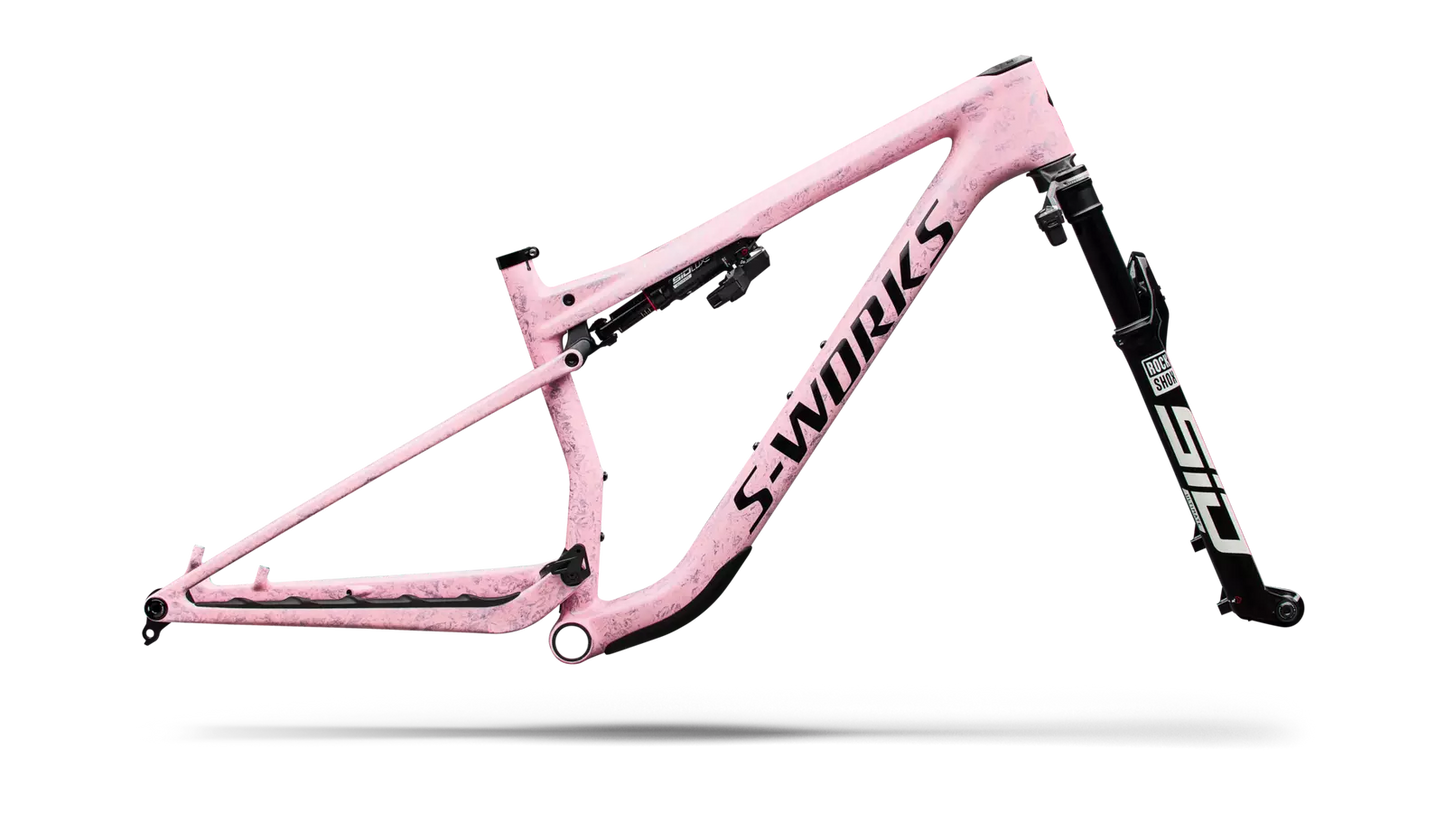 S-Works Epic 9 Frameset Lynnwood Cyclery