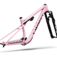 S-Works Epic 9 Frameset Lynnwood Cyclery