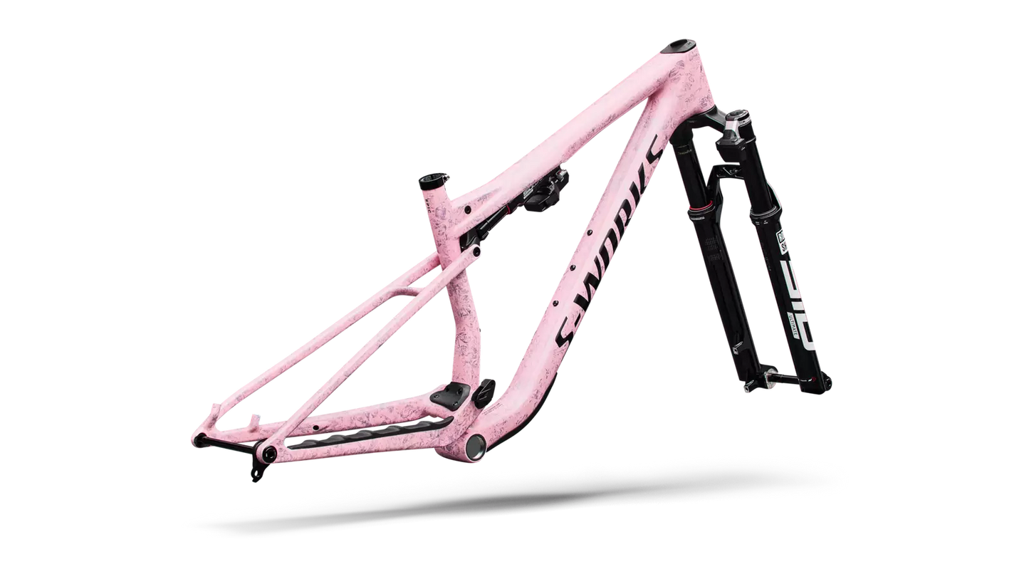 S-Works Epic 9 Frameset Lynnwood Cyclery