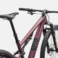 Epic 8 Expert Lynnwood Cyclery