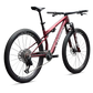S-Works Epic 9 Lynnwood Cyclery