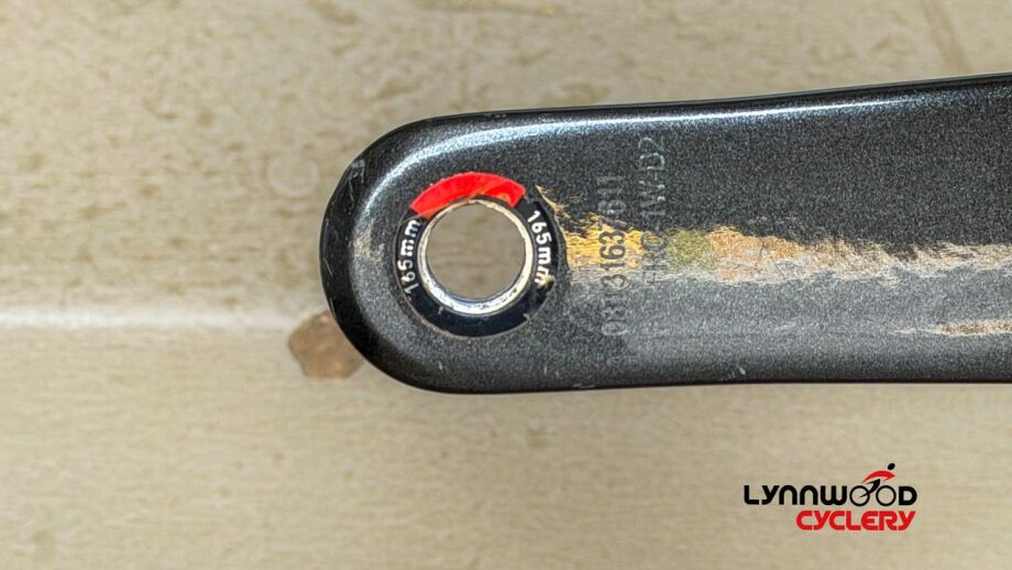 Diverge STR Pro 49cm Lynnwood Cyclery