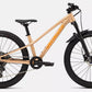 Riprock Comp 24 SPECIALIZED