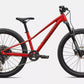 Riprock Comp 24 SPECIALIZED