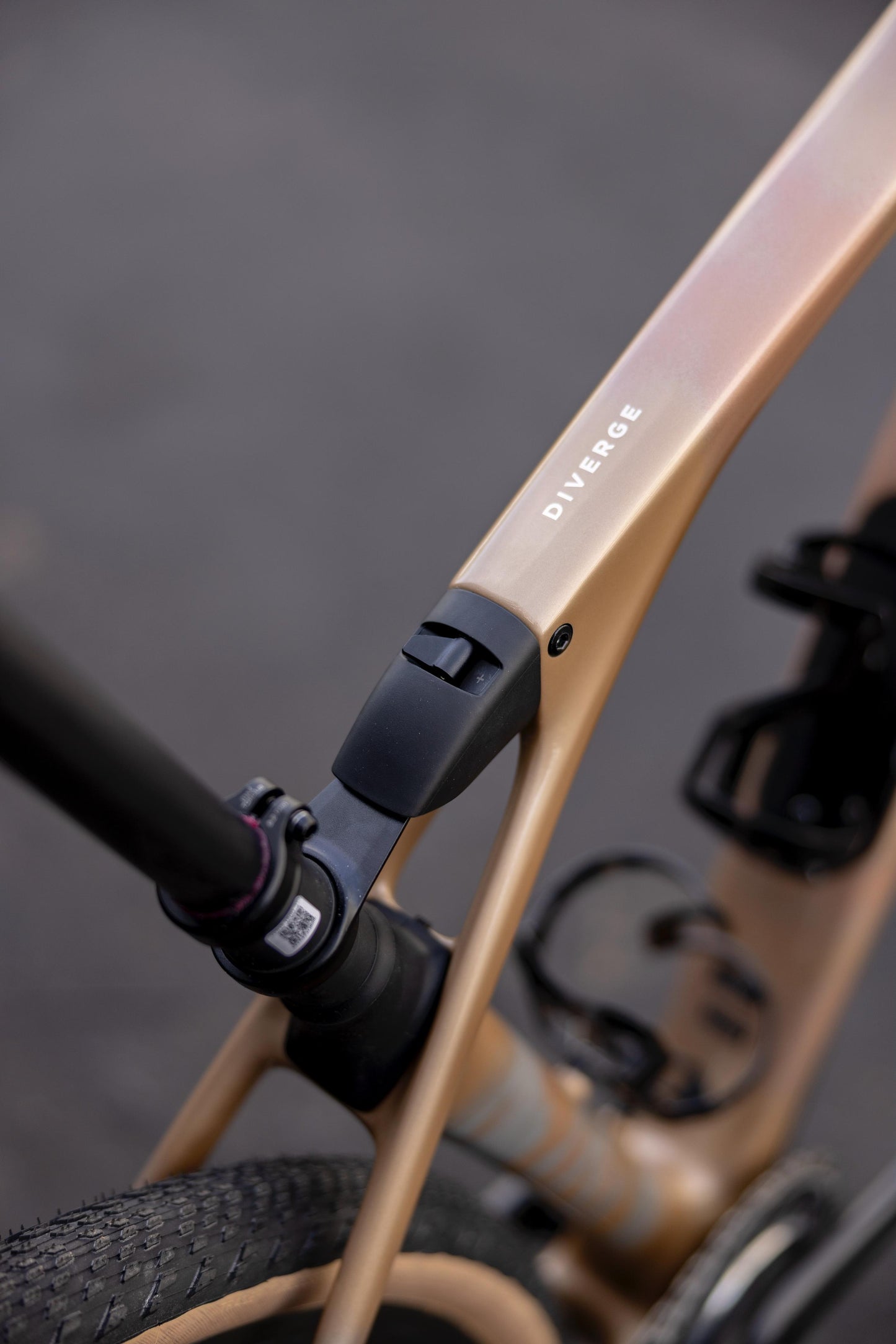 S-WORKS DIVERGE STR