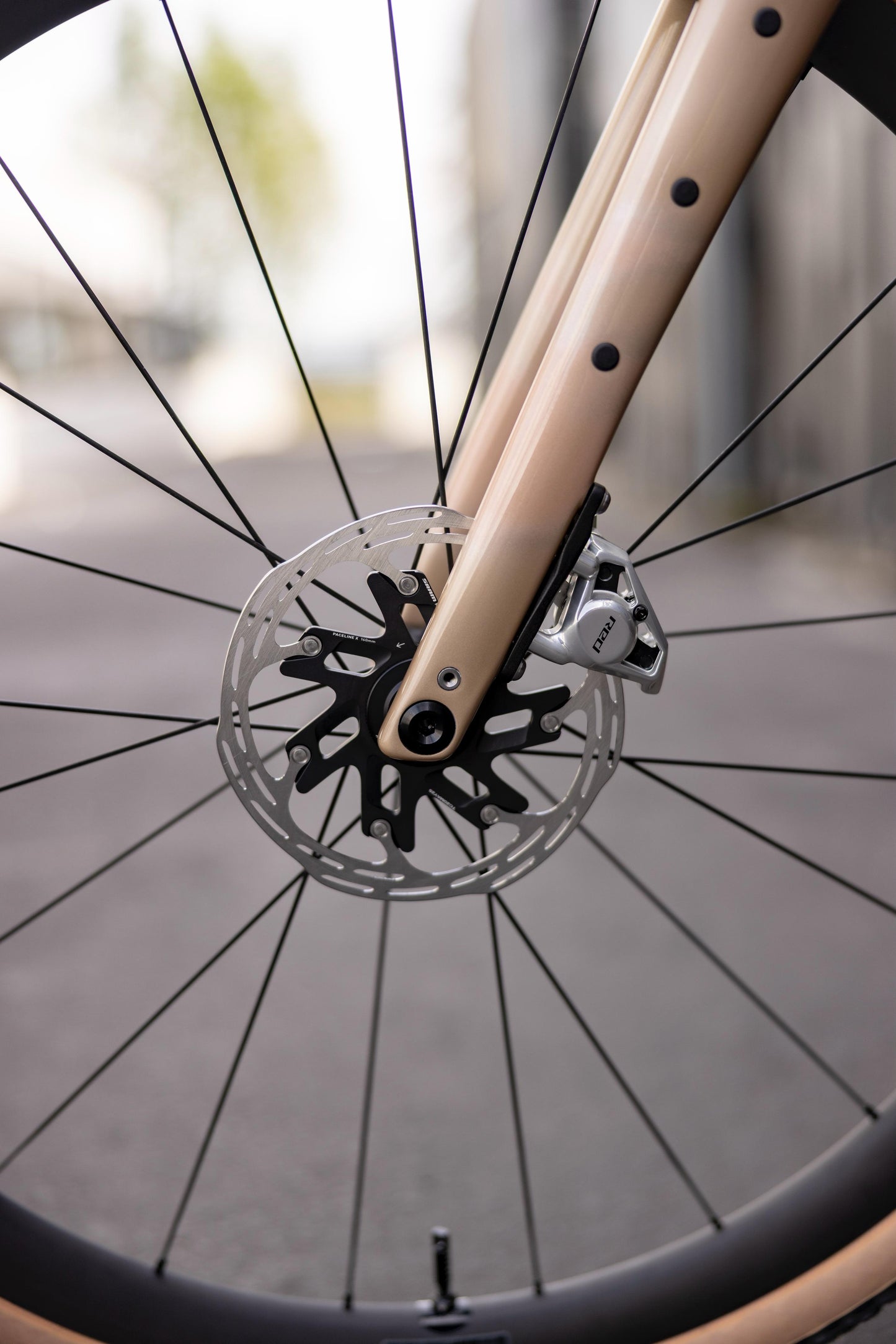 S-WORKS DIVERGE STR
